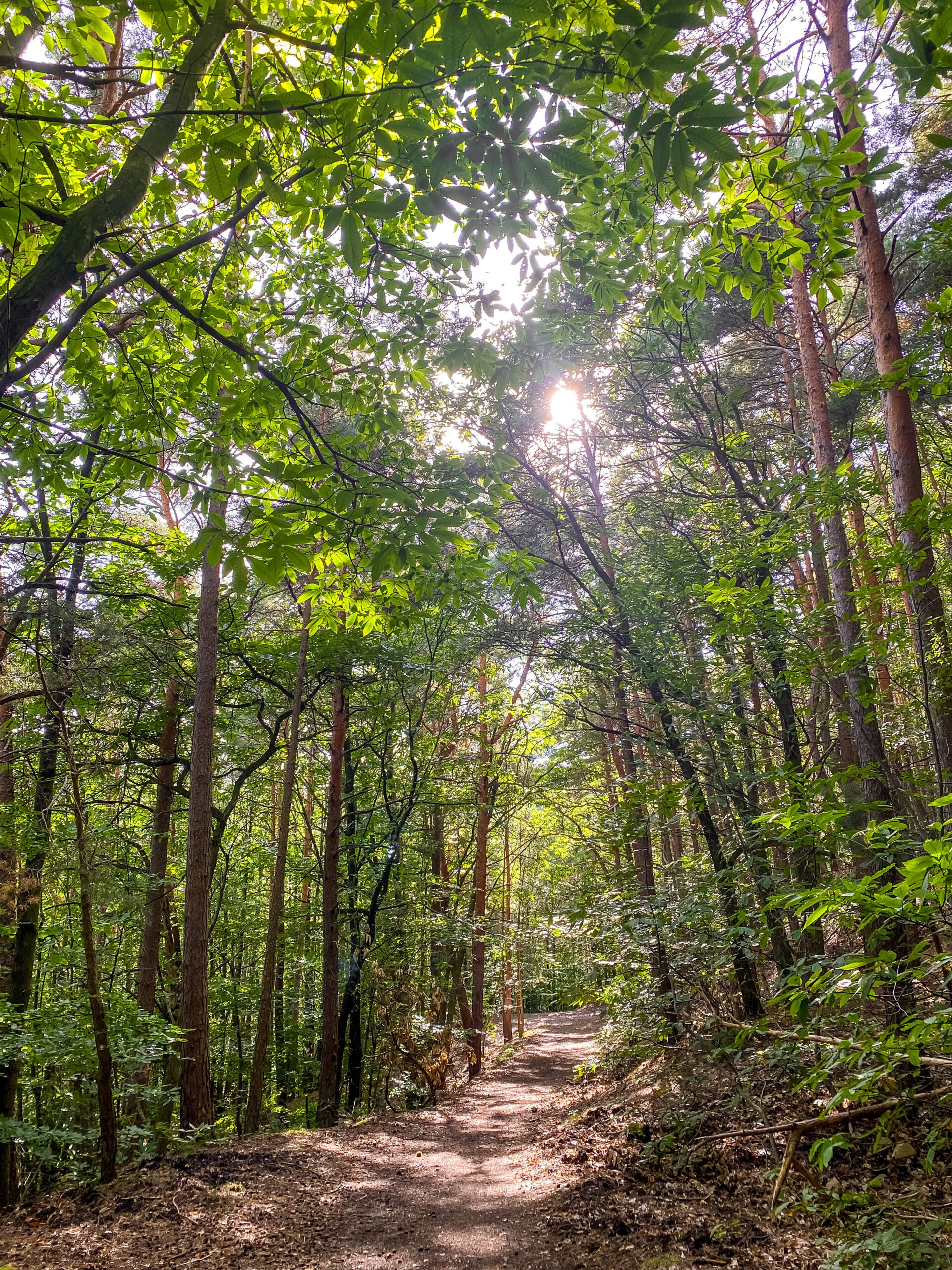 Ferienwohnungen Südpfalz, Wanderurlaub Pfalz, Urlaub Südpfalz